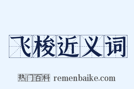 飞梭近义词是什么意思的图片